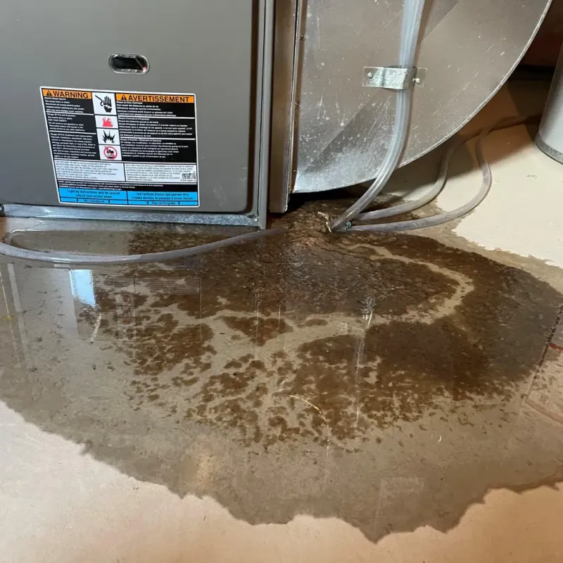 Appliance Leak Cleanup in El Cerro Mission, NM