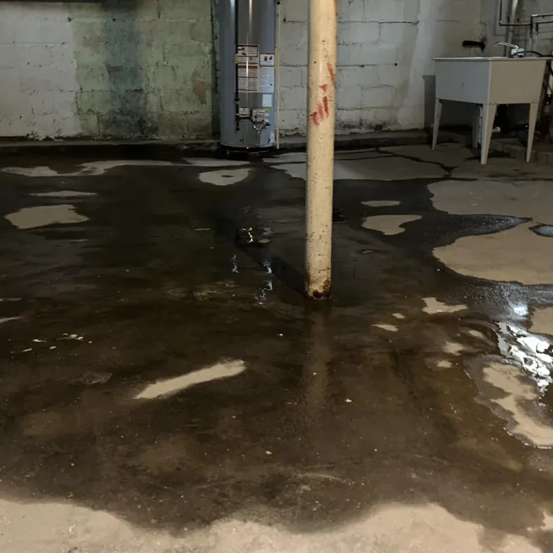 Emergency Water Extraction And Removal in El Cerro Mission, NM